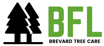 BFL Tree Care