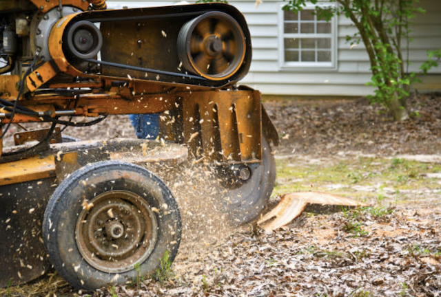 stump grinding brevard fl